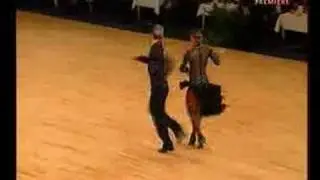 cocchi wilkinson jive