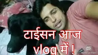 My Dog Tission In The Vlog #LovepetAnimals #Vlog #Samratupadhyay