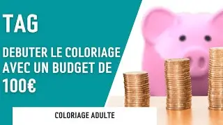 TAG | D&eacute;buter le coloriage avec un budget de 100&euro;