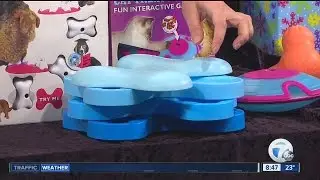 Holiday gifts for your pets