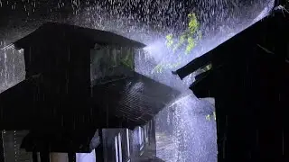 Cure Insomnia with Pouring Rain on Corroded Tin Roof in Gloomy Forest at Night