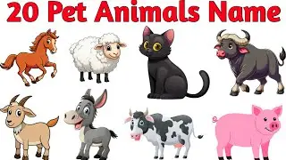 20 पालतू जानवरों के नाम | 20 Pet Animal Names for Kids with Pictures and Sound | Animals Name