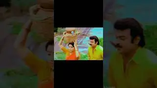 #shorts #tamil #trending #ilayaraja #song #whatsappstatus #90s #love #hit #romantic #lovesong #deva