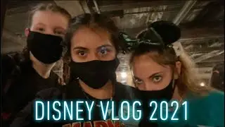 i almost went to disney jail