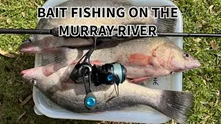 Bait fishing for Callop and Carp on the Murray River