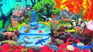 Explore 3 Worlds Diorama: Dinosaurs + Forest + Ocean 🦖🐯🐠| Diorama for Kids