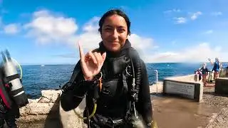 PADI Open Water Diver Course in California