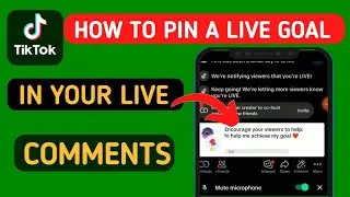 How to pin a live goal on TikTok | TikTok live goal