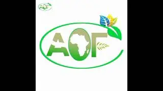 Agricultural Opportunity for Farmers... The best company for Rice and Beans Trading