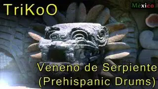 Veneno De Serpiente (Prehispanic Drums) - TrikoO DJ 3KoO