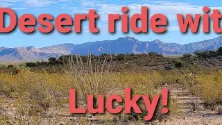 Desert Ride outside of Wickenburg Arizona on Kawasaki Side by Side