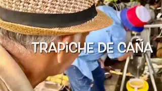 Puro Puerto Rico: Aprendizajes Que Da La Vida Rural  