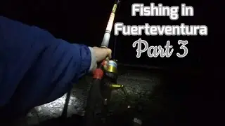 Sea Fishing in The Canaries, Fuerteventura | Part 3 |  Catching Big Fish at Tarajalejo at Night