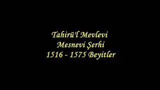 Tahirü'l Mevlevi Mesnevi Şerhi 1516 - 1575 Beyitler
