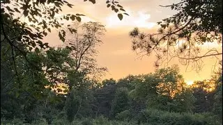 Side Cut Metropark #maumee