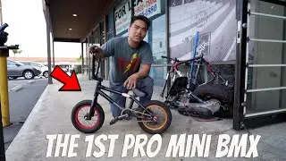 The World's First Pro Level Mini BMX!