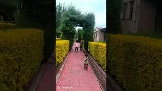 👌👌👌👌❤️☘️☘️Best resort of Ethiopia....so beautiful 👌👌👌👌☘️☘️❤️