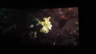 Final Fantasy VII Remake Theater Reaction Reveal E32015 IMNelson (original video)