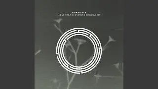 The Journey of Unknown Consequence