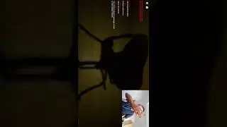 Sigoria дал пятюню