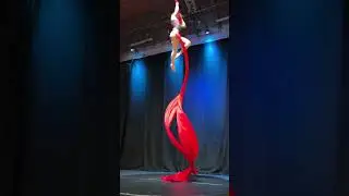 2025 Aerial Silks Routine - KC Daly