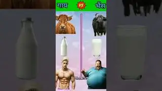 Cow vs Buffalo ❓#shorts #trending #facts