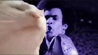 Cat Vibing | Boney M - Daddy Cool