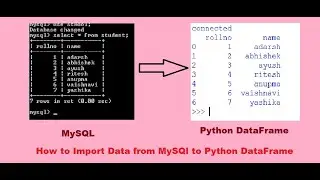 how to import data from MySQL to Python