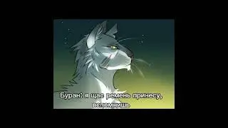 Мем от Луно. Канал и ролевая Луно в шапке профиля #мем #буран #уголёк #котывоители #Luno_warriors