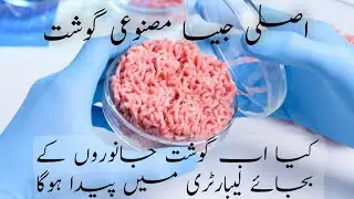 what is Lab grown meat | Urdu hindi information