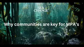 WHY COMMUNITIES ARE KEY FOR MPAs- SEA CHANGE PROJECT WEBINAR