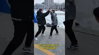 Xingyiquan Actual Combat Fighting #kungfu