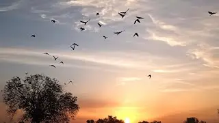 #weather #snow #youtubevideo #viralvideo #viralreels #youtube #night #viral 