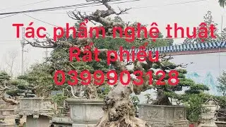 #Tác phẩm nghệ thuật sanh nam điền rất phiêu #