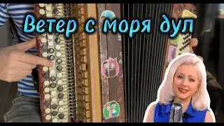 Ветер с моря дул! Учимся играть на баяне!!Разбор для новичков!