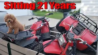 Buying Two Abandoned Honda Three Wheelers