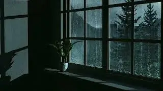 The tranquil, rainy night Ambience, dim lighting, and soothing, dreamy music. 🎶🌧⚡️🍁