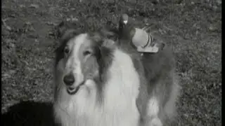 Lassie - Episode #248 - 