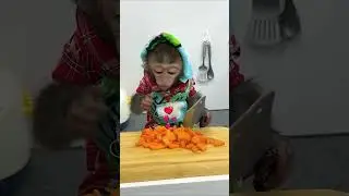 monkey making vegetable omelette #monkey