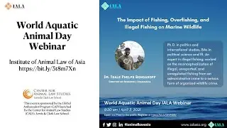 The Impact of Fishing, Overfishing, and Illegal Fishing on Marine Wildlife