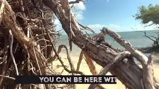 Century 21 Island Life   Our Culture, Our Difference   Florida keys