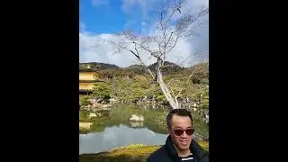 Kinkakuji Temple Kyoto Japan #goldenpavilion #japantravelguide #kyototravel #tourguiding #traveljp