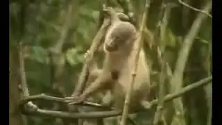 CROSS RIVER STATE TOURISM
