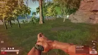 Culling how to survive a deathbridge fall AND lightning rifles
