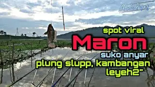 maron spot viral suko anyar//hampir gk ada lapak kosong//mancing ngantang