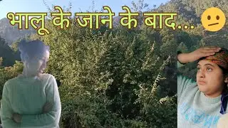 कैसा था रात को भालू देखने के बाद 😱 सुबह हमारा रिएक्शन 🤣🐻