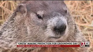 Groundhog Day 2018