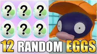 12 RANDOM Pokemon Eggs, Team Build - Then BATTLE! Pokemon Scarlet and Violet WiFi Battle #Live
