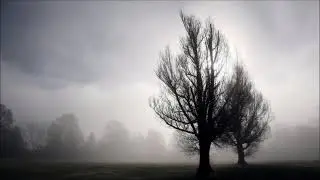 Omnium Gatherum  - These Grey Heavens
