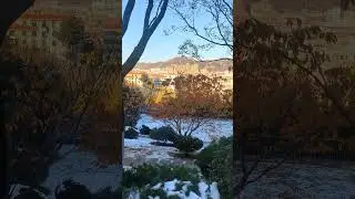 The maple leaves turn yellow, the maple leaves fall, and the snow melts